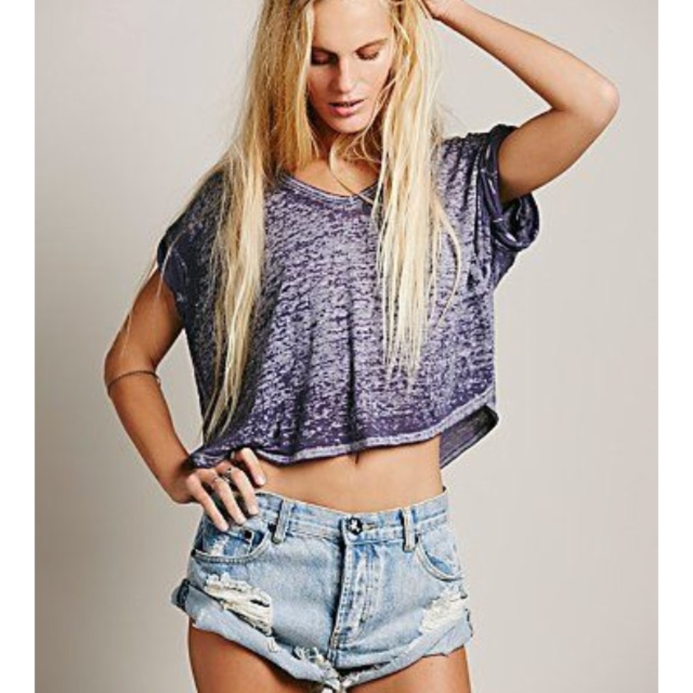 Free People Beach Burnout Crop Vneck Tee